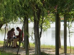 -上海长兴岛郊野公园