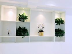 -MIVI半永久纹眉绣眉