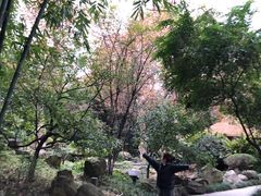 -望江楼公园