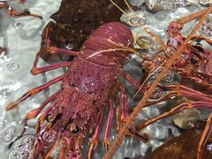 -渔傅·蓝海岸霞浦海鲜(正祥店)