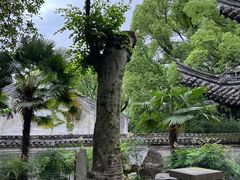 -天一阁博物院