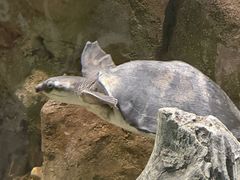 -苏州海洋馆