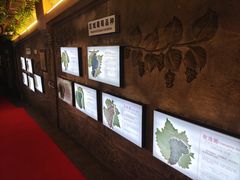 -青岛葡萄酒博物馆