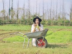 -田园东方蜜桃村的田野营地