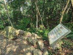 -上海佘山国家森林公园天马山园