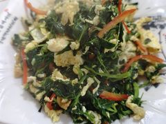 -煲来饱去冷水鱼