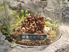 -北京植物园-展览温室