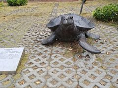 -广东惠东海龟国家级自然保护区
