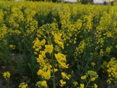 -临平南高铁站(地铁站)