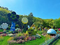 -上海共青森林公园