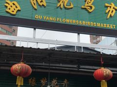-曲阳花鸟市场(曲阳路店)
