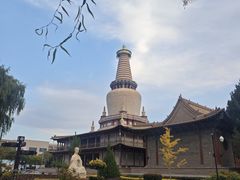 -张掖大佛寺景区