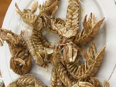 -望海潮海鲜店 特色家常菜(在海一方店)