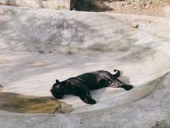 -上方山森林动物世界