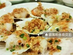 蒜蓉扇贝王-江南村酒家