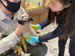 -MR.ZOO小小动物元室内动物园(沈阳沈河盛京中心)
