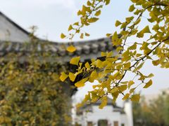 -武清南湖绿博园
