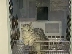 -中农国际动物医院24小时·猫科·骨科·急重症中心