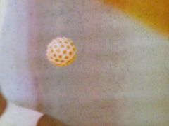 -星河寰宇IMAX影城(星河WORLD·COCO Park店)