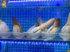 -前王院•巧克力海鲜市集餐厅(万平口店)