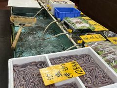 -寻味顺德·南记酒家·传统顺德菜·鱼生(广源路店)