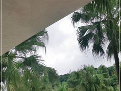 -重庆海昌加勒比海水世界