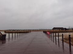-盐城丹顶鹤湿地生态旅游区