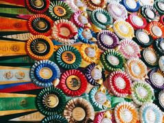 -more than meow吴止猫主题餐厅(承德 中船汇店)