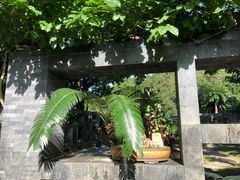 -深圳仙湖植物园