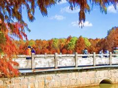 -上海海湾国家森林公园