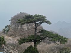-圣莲山风景区