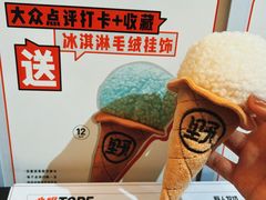 -野人先生现做冰淇淋(北京顺义祥云小镇店)