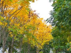 -牛岗山公园