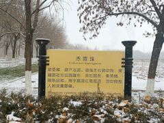-龙谕酒庄