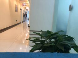 点击看大图 -青岛诺德医学美容医院