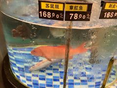 -新塘畔酒楼(里水大道北店)