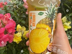 -茶屿水果茶(太古里店)