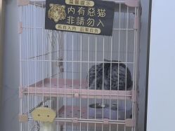 -Echo·回声专注男士发型设计