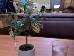 -CURRY YA 熟成咖哩專門店(深圳湾万象城店)