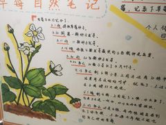 -上海昆虫博物馆