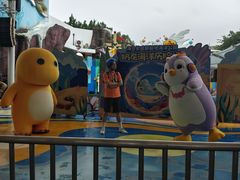-海合安成都极地海洋公园