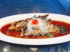 清蒸东星斑-大董(阜成路店)
