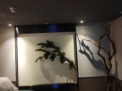 -上足·影院足道·SPA(红岭店)