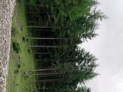-硗碛藏寨·神木垒景区