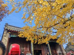 -浮来山风景区