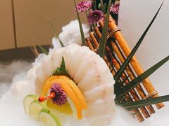 涮食河豚鱼-鲐赏河豚(长寿店)