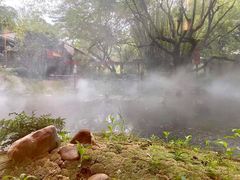 -同庆堂(解放北路店)