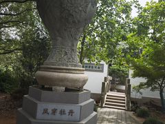 -雨花胜境