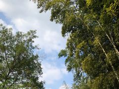 -杭州植物园