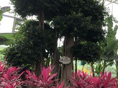 -兴芮温泉度假区